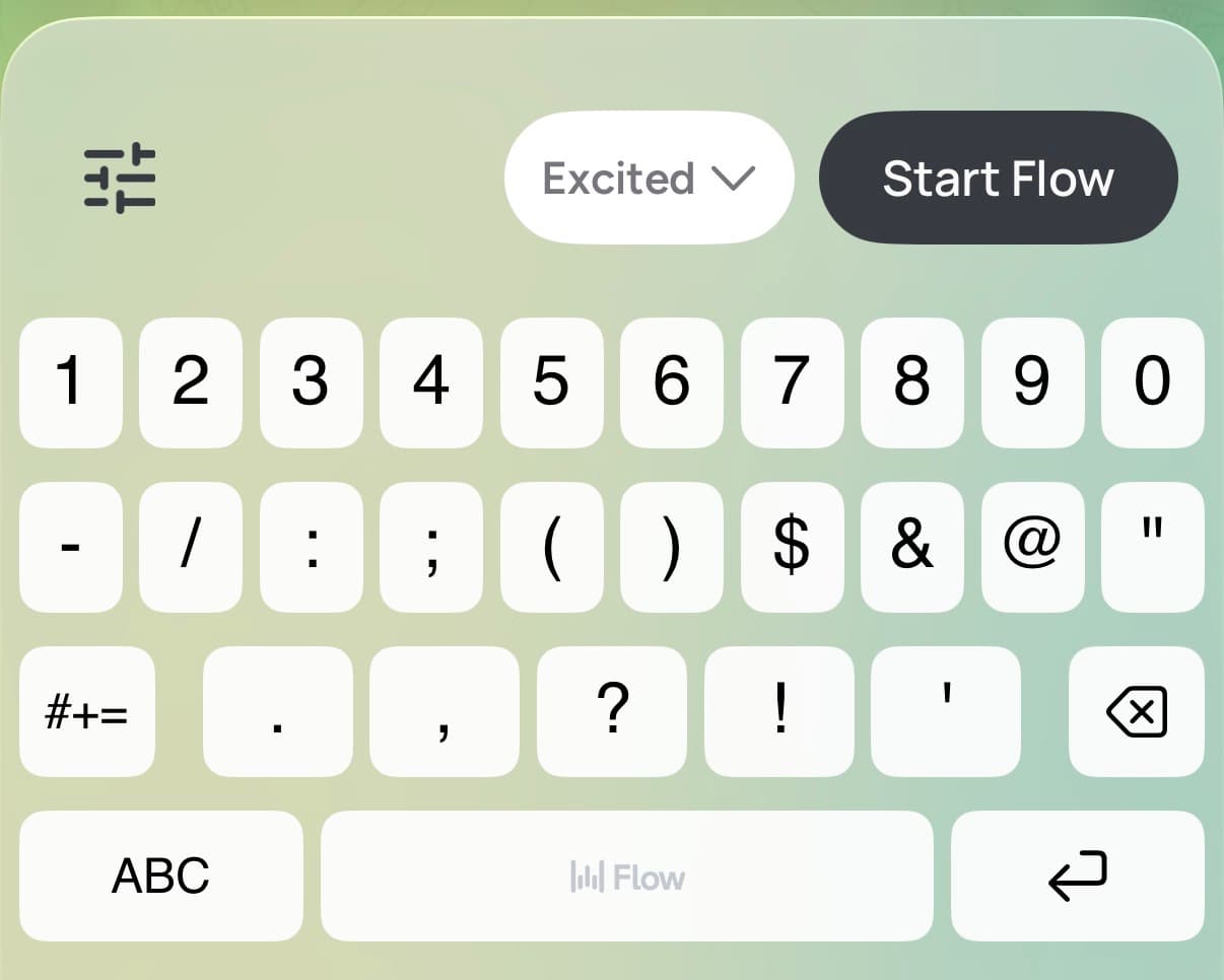 WisprFlow iPhone Start Flow
