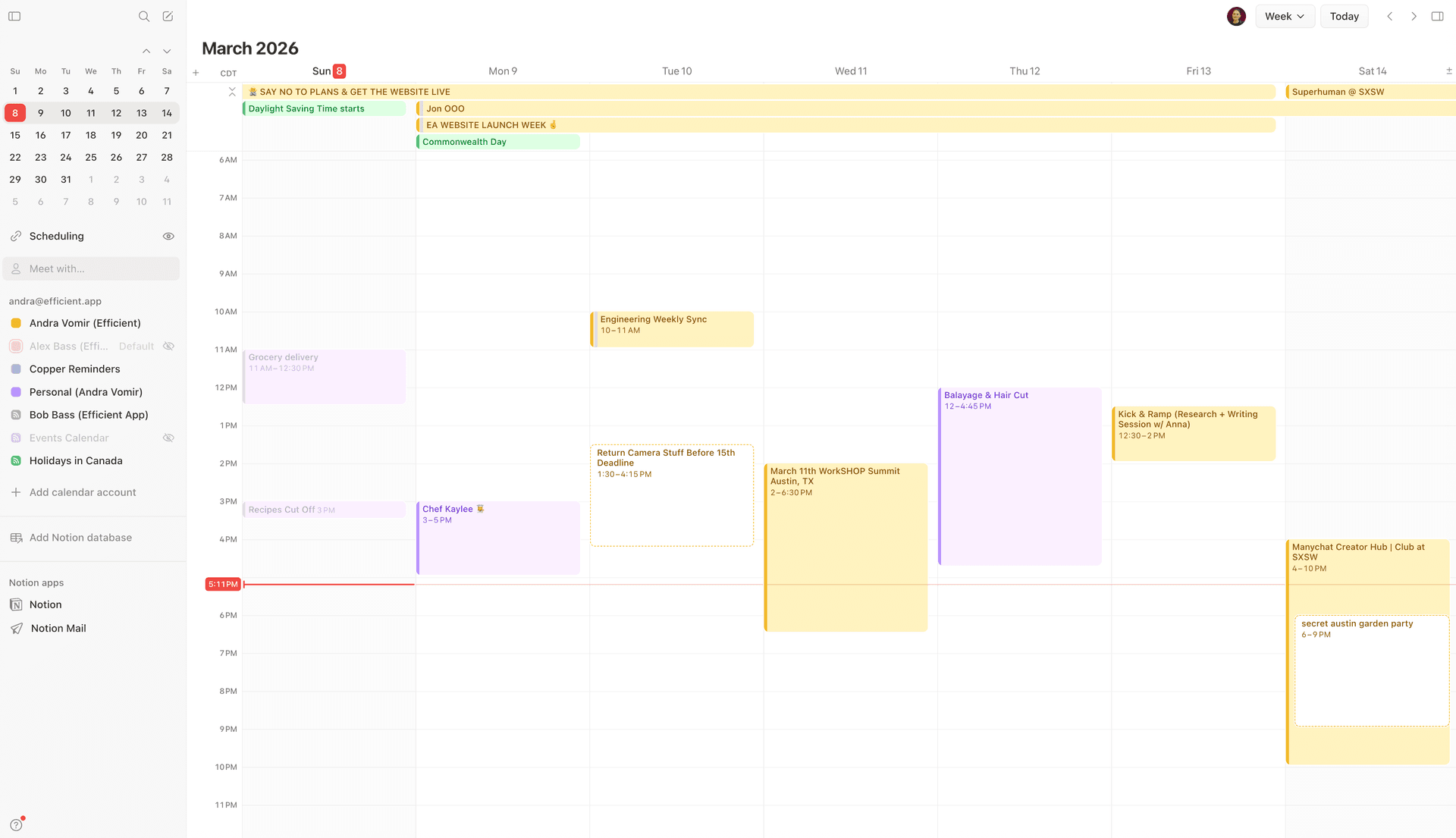 Notion Calendar Interface