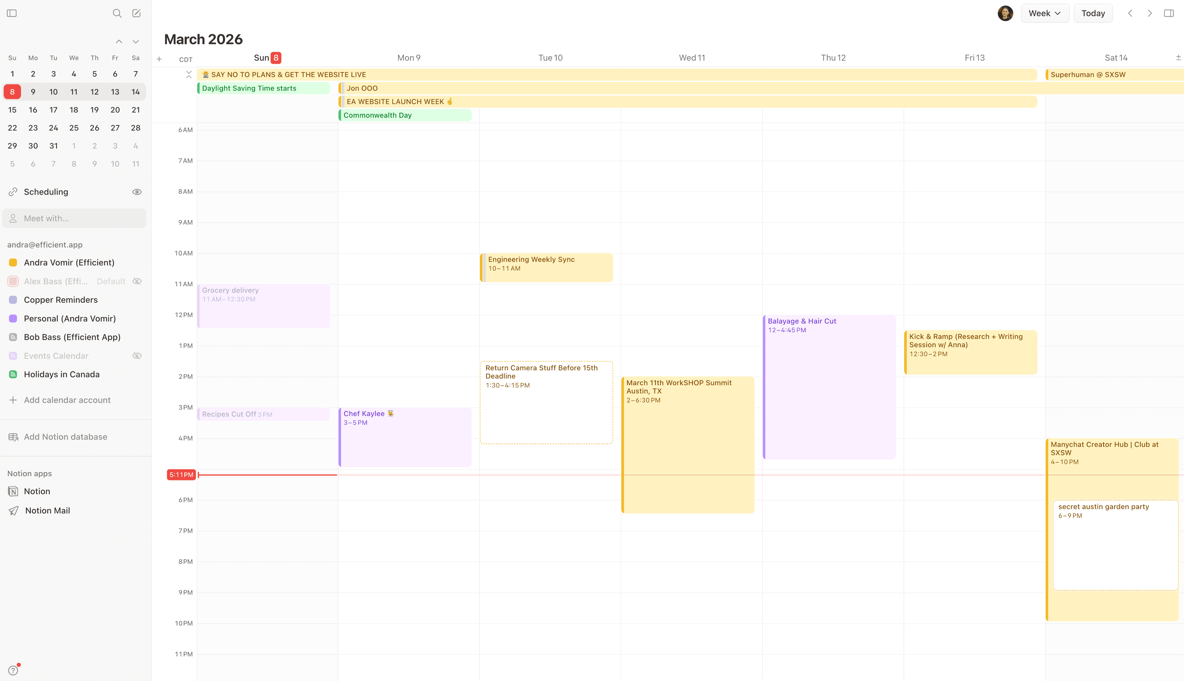 Notion Calendar Interface