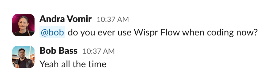 WisprFlow Coding Bob