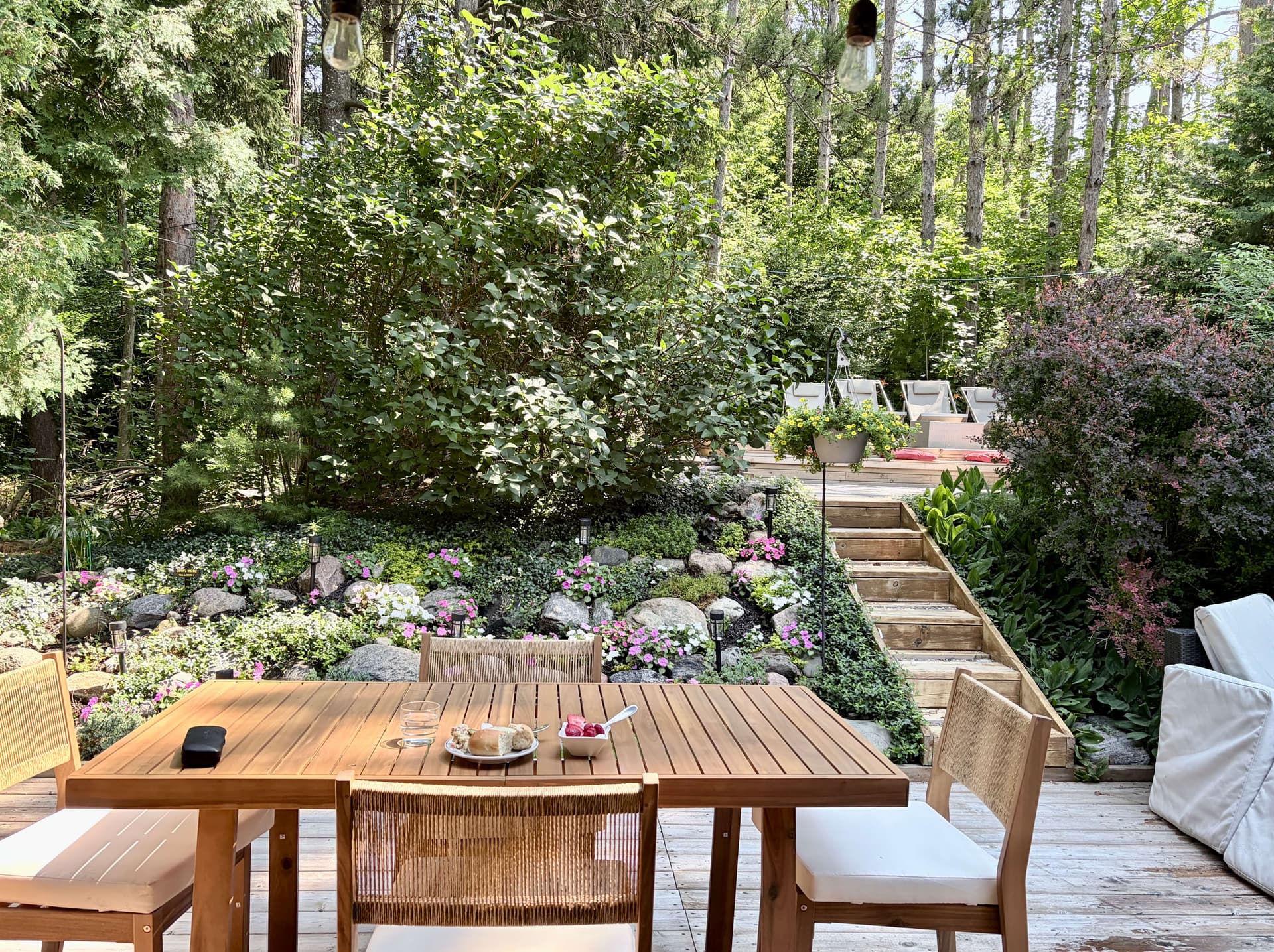 Andra's parents backyard forest